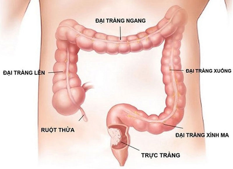 XỬ LÍ CHUNG CHO TẤT CẢ VẤN ĐỀ: